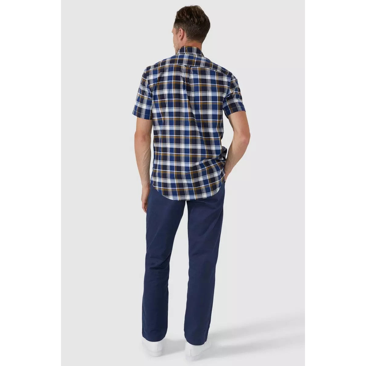 Royal Blue - Back - Maine Mens Chinos