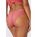 Warm Coral - Back - Gorgeous Womens-Ladies Floral Embroidered Briefs