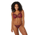 Berry - Front - Gorgeous Womens-Ladies DD+ Embroidered Plunge Bra