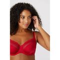 Black-Red - Lifestyle - Gorgeous Womens-Ladies Non-Padded Bra (Pack of 2)