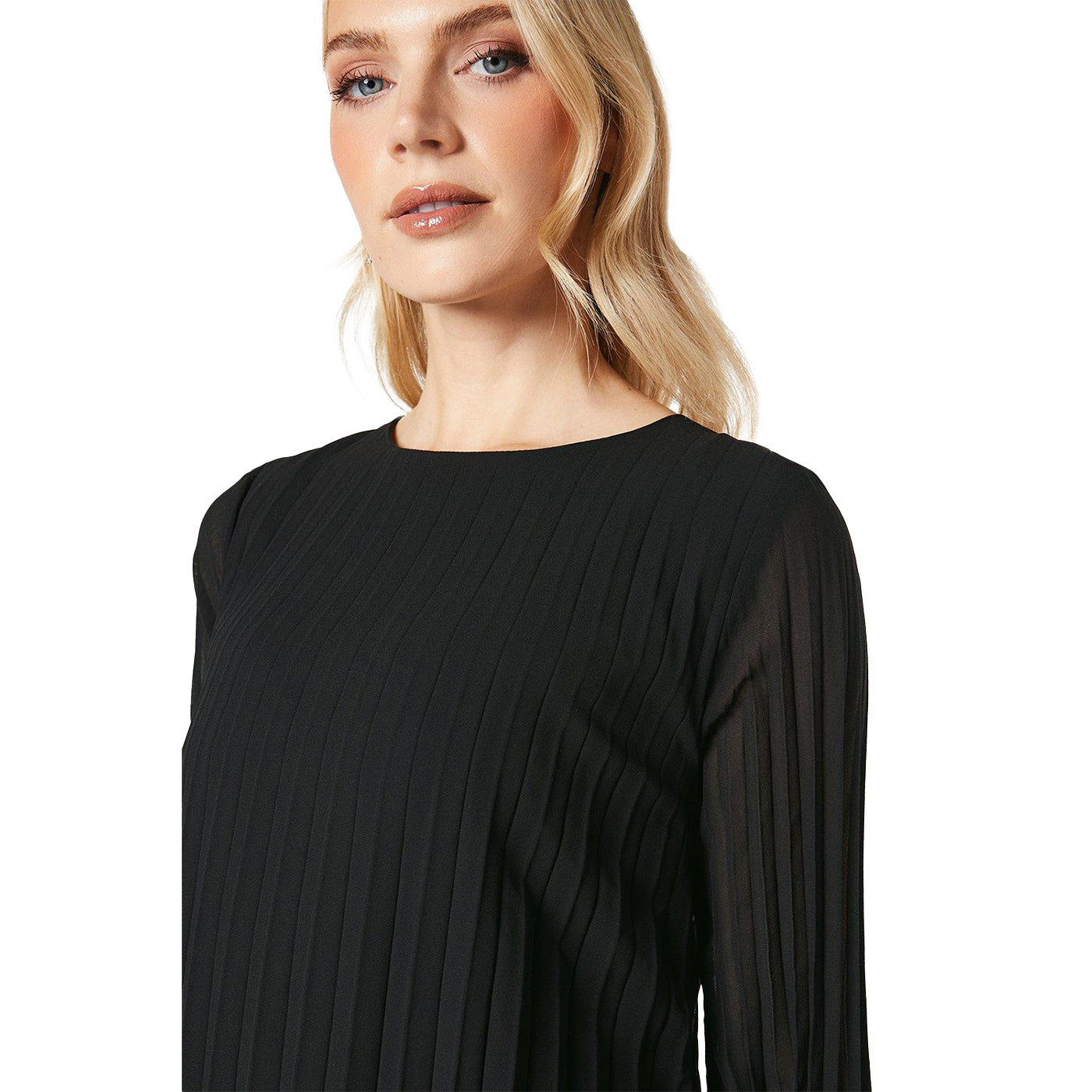 Black - Lifestyle - Principles Womens-Ladies Graduated Pleated Shift Dress