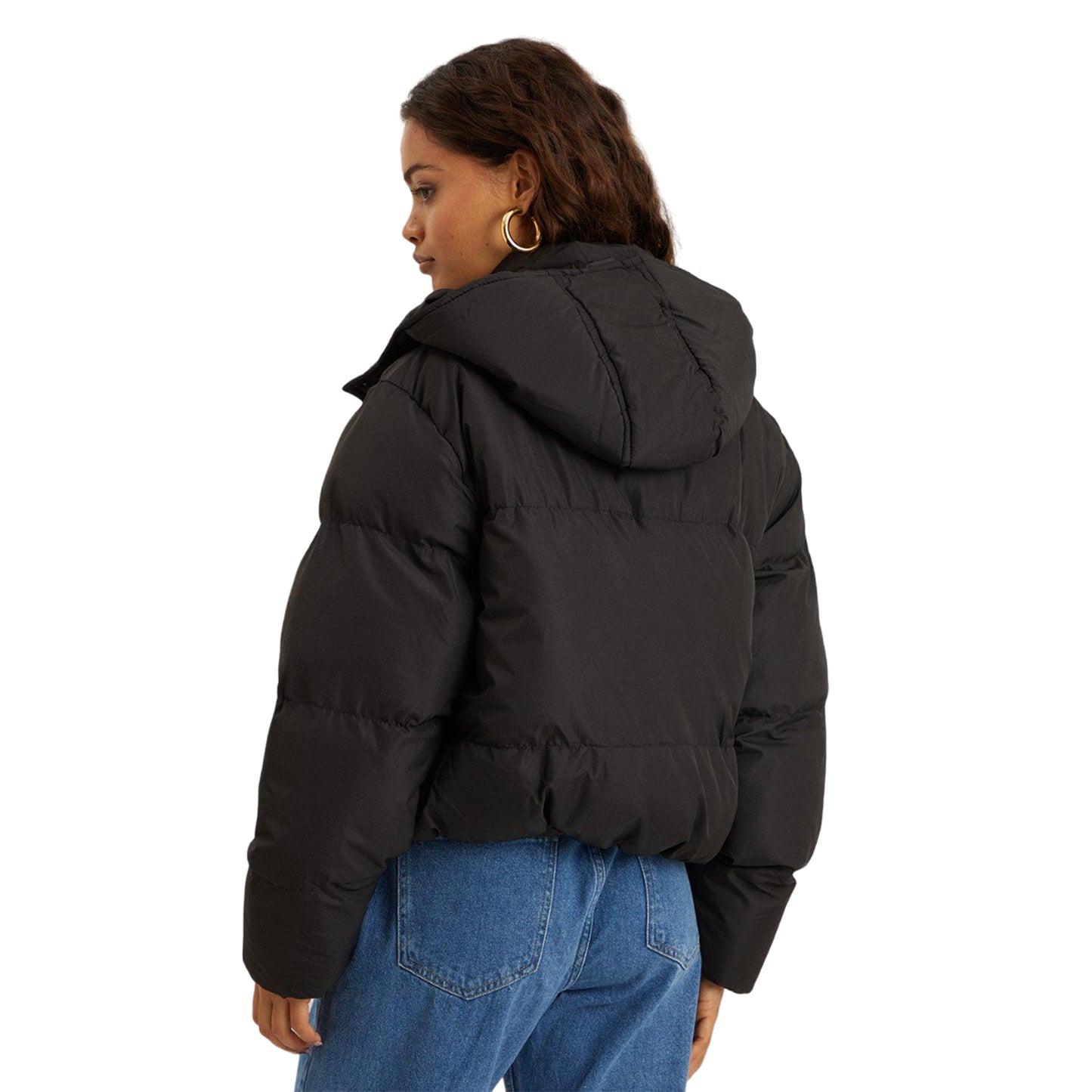 Black - Back - Dorothy Perkins Womens-Ladies Hooded Petite Short Padded Jacket