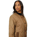 Chocolate - Lifestyle - Dorothy Perkins Womens-Ladies Contrast Collarless Padded Jacket