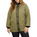 Sage - Front - Dorothy Perkins Womens-Ladies Contrast Collarless Plus Padded Jacket