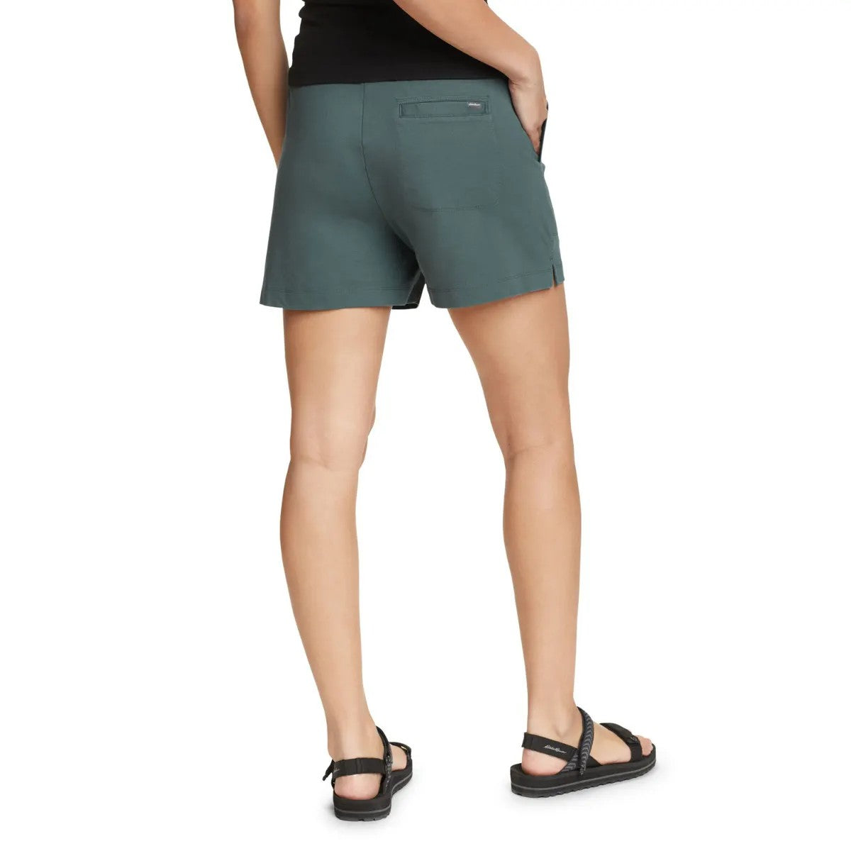 Dragonfly - Back - Eddie Bauer Womens-Ladies Versatrex Shorts