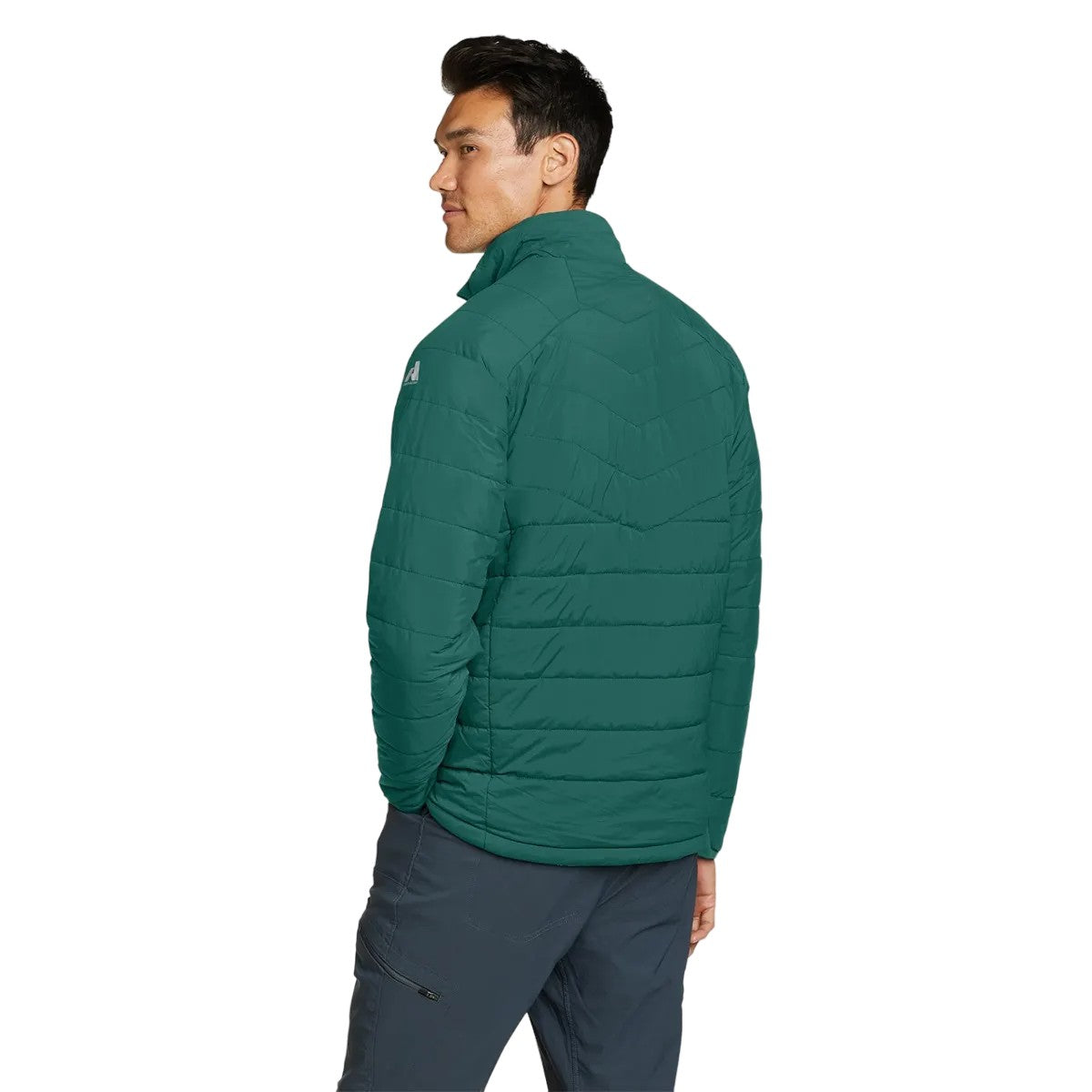 Dark Evergreen - Back - Eddie Bauer Mens Ignitelite Reversible Stretch Jacket