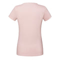 Powder Rose - Back - Fruit Of The Loom Womens-Ladies Iconic 195 Premium Ringspun Cotton T-Shirt
