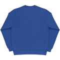 Royal - Back - SG Mens Long Sleeve Crew Neck Sweatshirt Top