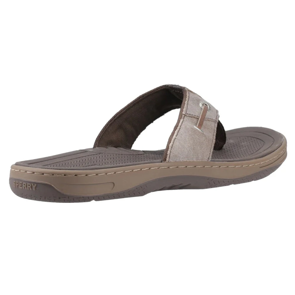 Brown - Back - Sperry Womens-Ladies Batfish Leather Flip Flops
