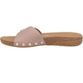 Beige Buff - Pack Shot - Fit Flop Womens-Ladies Leather Buckle Detail Sliders