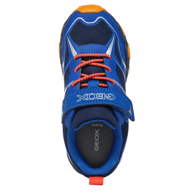 Royal Blue-Orange - Lifestyle - Geox Boys Magnetar Abx Trainers