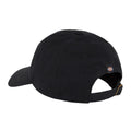 Black - Back - Dickies Unisex Adult Cotton Twill Everyday Baseball Cap