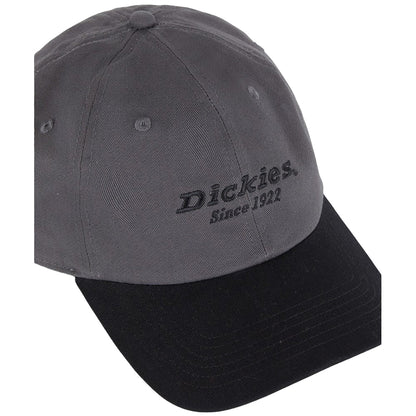 Graphite - Side - Dickies Workwear Unisex Adult Colour Block Cotton Twill Everyday Baseball Cap