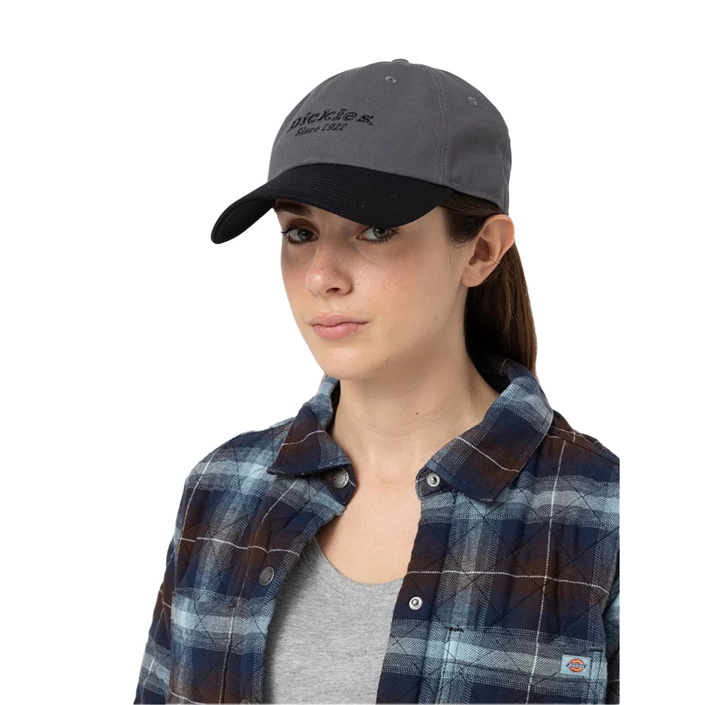 Graphite - Lifestyle - Dickies Workwear Unisex Adult Colour Block Cotton Twill Everyday Baseball Cap