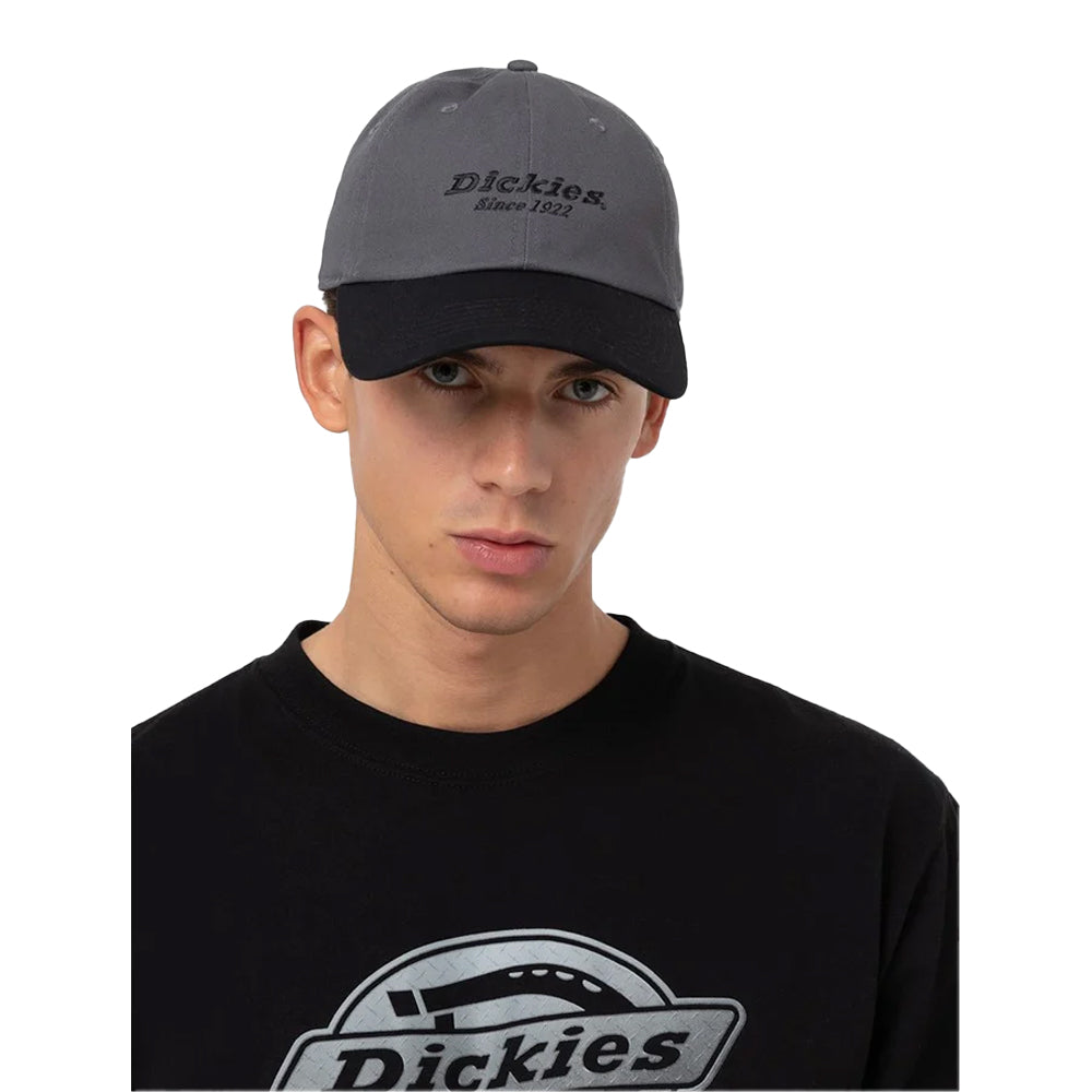 Graphite - Pack Shot - Dickies Workwear Unisex Adult Colour Block Cotton Twill Everyday Baseball Cap