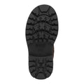 Chestnut - Pack Shot - Geox Girls J Shaylax G Suede Ankle Boots