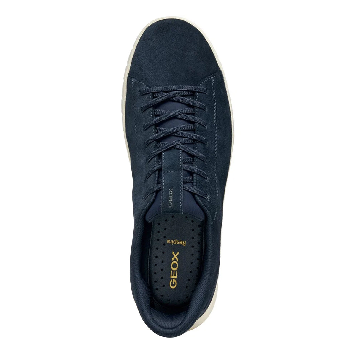 Navy - Lifestyle - Geox Mens Leather FlexStride Plus Trainers