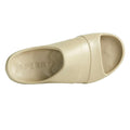 Taupe - Pack Shot - Sperry Mens Float Sliders