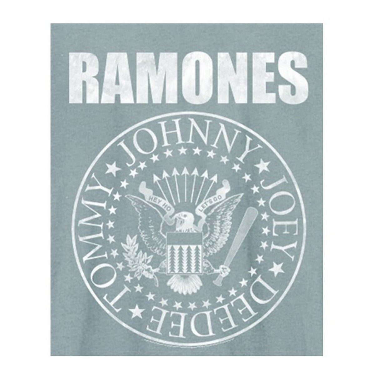 Strange Blue - Back - Amplified Unisex Adult Ramones Logo T-Shirt