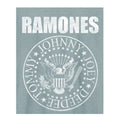 Strange Blue - Back - Amplified Unisex Adult Ramones Logo T-Shirt