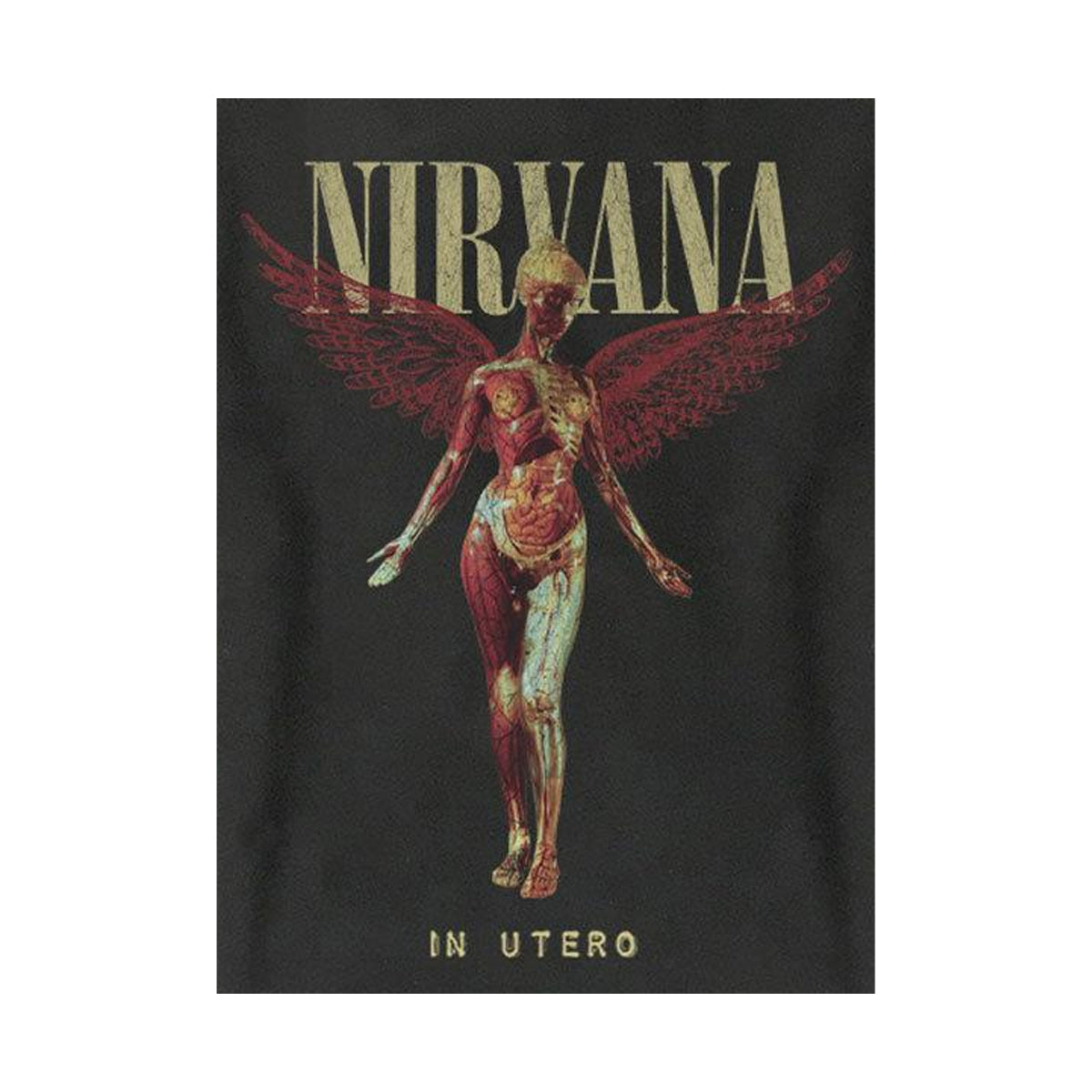 Charcoal - Back - Amplified Unisex Adult In Utero Nirvana Sweatshirt