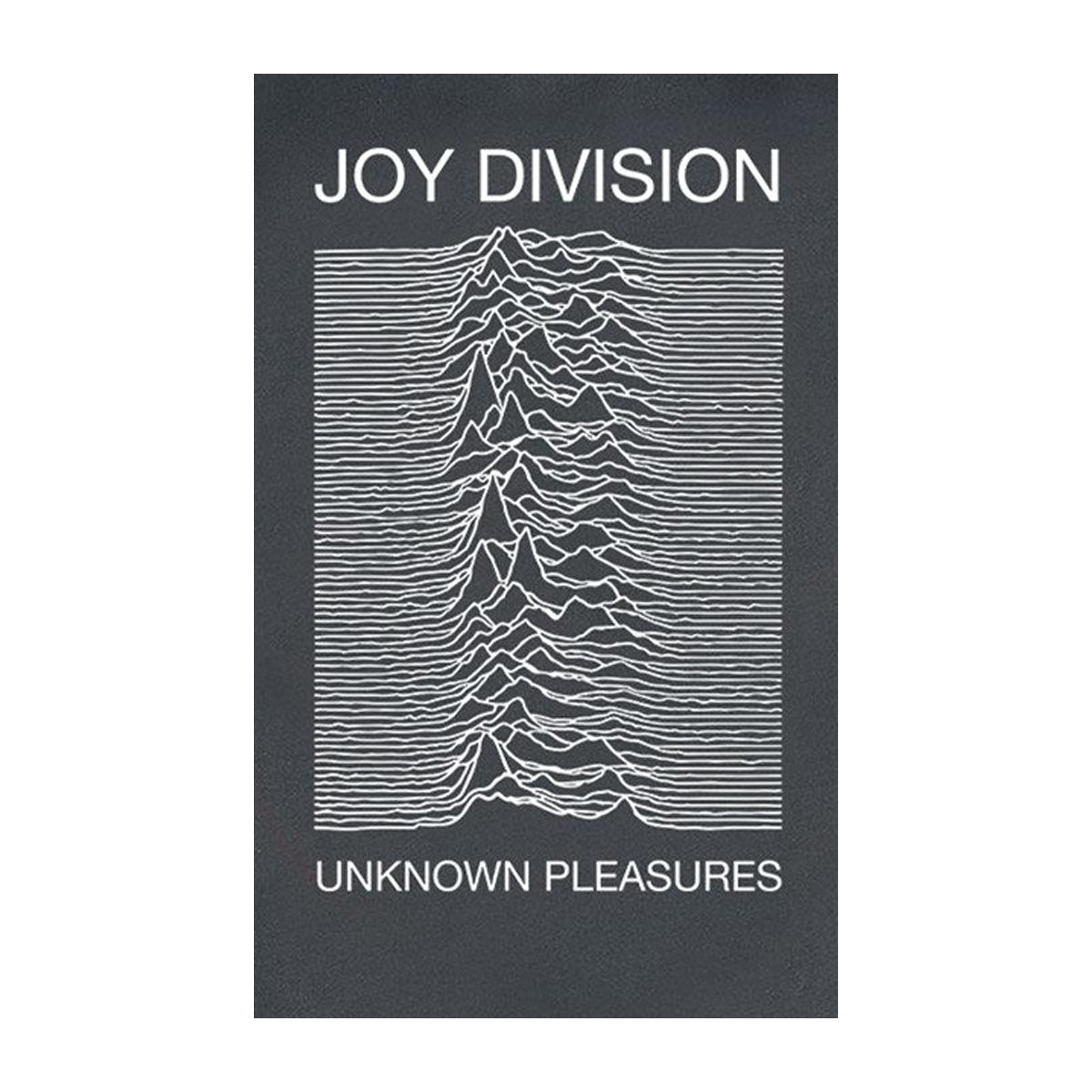 Charcoal - Side - Amplified Womens-Ladies Unknown Pleasures Joy Division T-Shirt