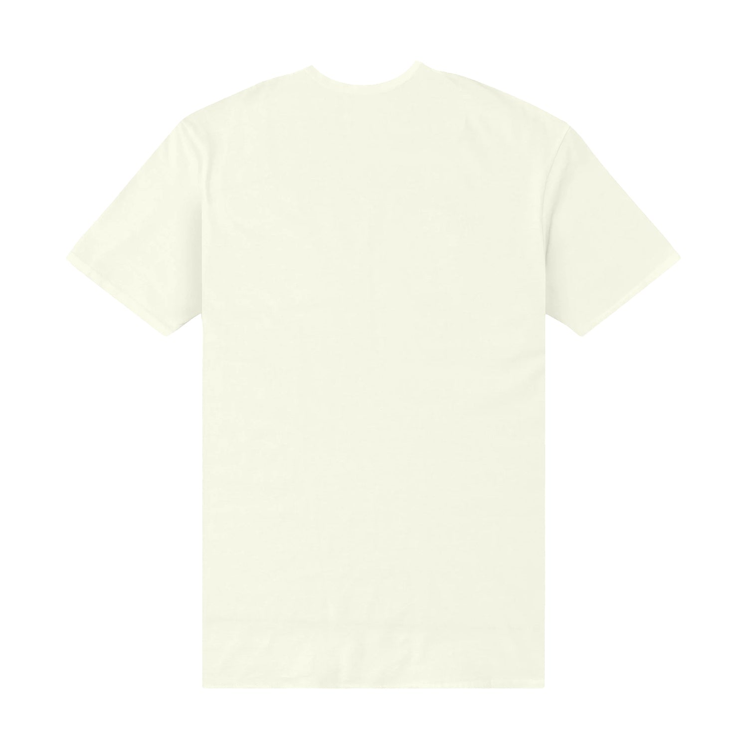 Vintage White - Back - Amplified Unisex Adult Snake And Strings T-Shirt
