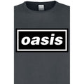 Charcoal - Lifestyle - Amplified Mens Logo Oasis T-Shirt