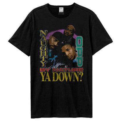Black-Black - Front - Amplified Unisex Adult Hip Hop Hooray Naughty By Nature T-Shirt