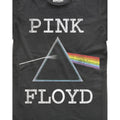 Charcoal - Back - Amplified Mens Dark Side Pink Floyd T-Shirt