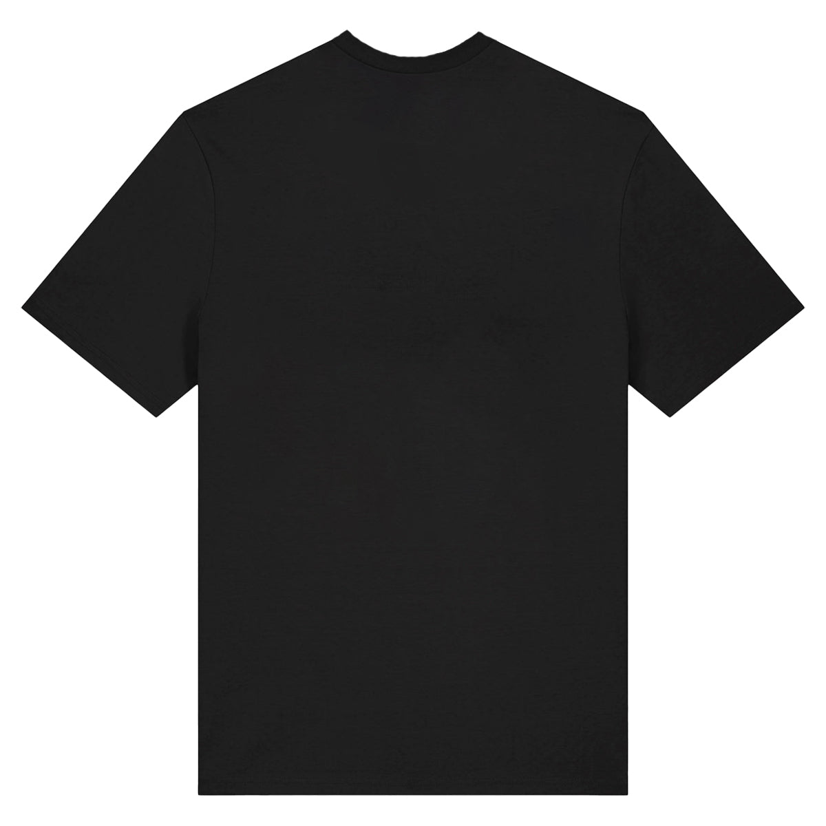 Black - Back - Amplified Unisex Adult Pre Tour Skate Billie Eilish T-Shirt