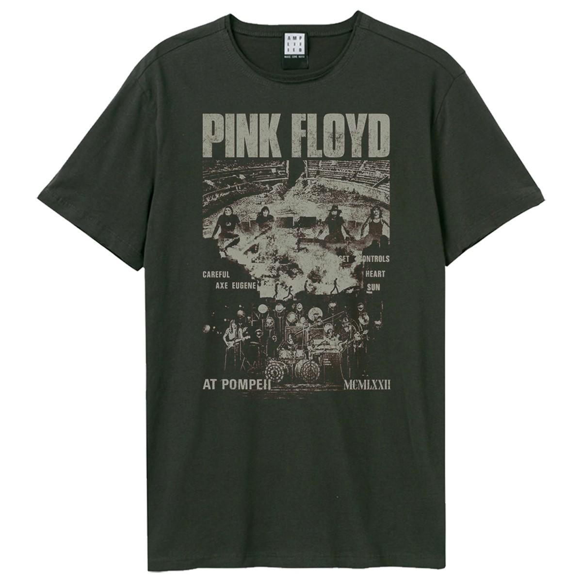 Charcoal - Front - Amplified Unisex Adult Pompeii Careful Eugene Pink Floyd T-Shirt
