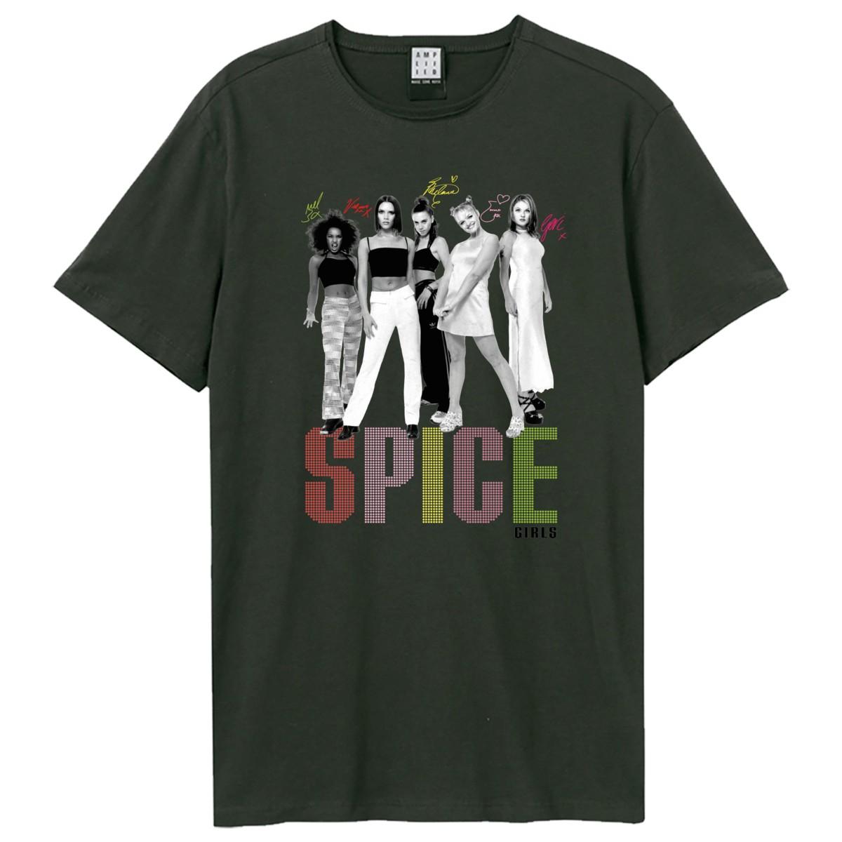 Charcoal - Front - Amplified Unisex Adult Group Shot And Logo T-Shirt