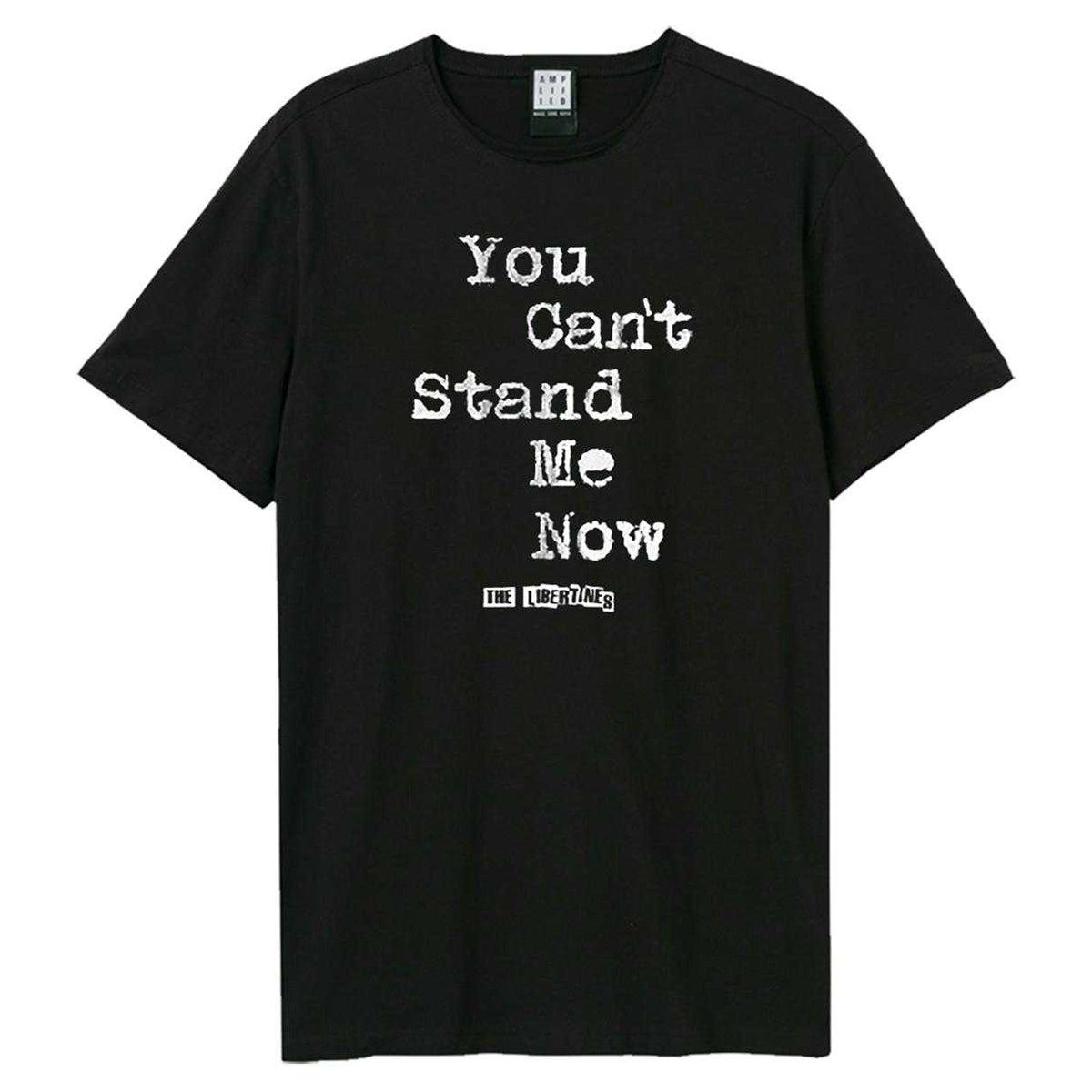 Black - Front - Amplified Unisex Adult Can´t Stand Me Now The Libertines T-Shirt