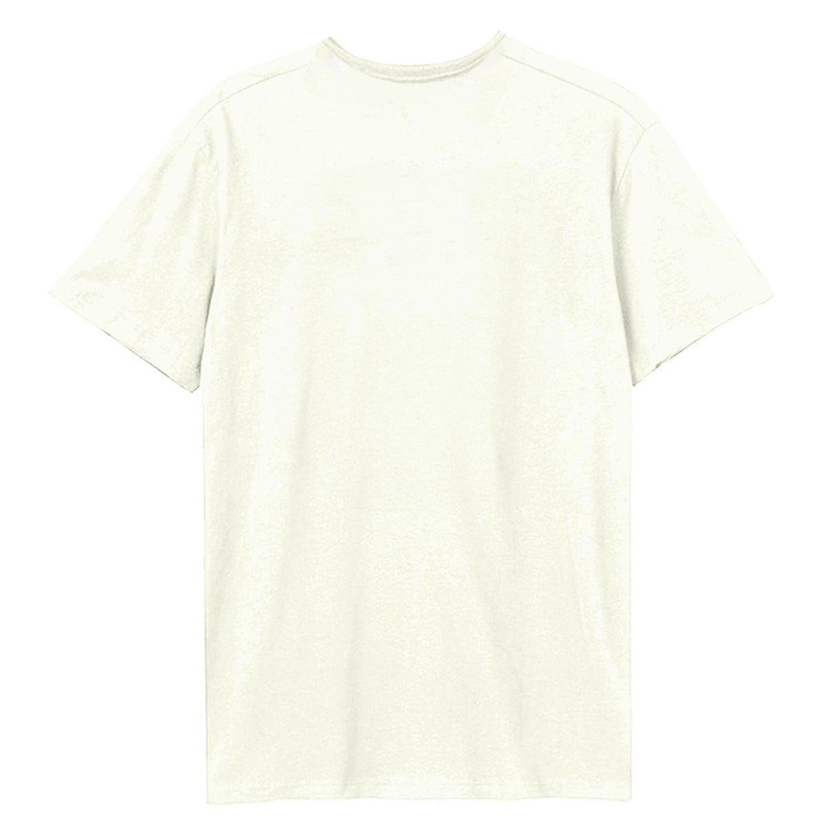 Vintage White - Back - Amplified Unisex Adult Express Led Zeppelin T-Shirt