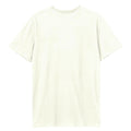 Vintage White - Back - Amplified Unisex Adult Express Led Zeppelin T-Shirt