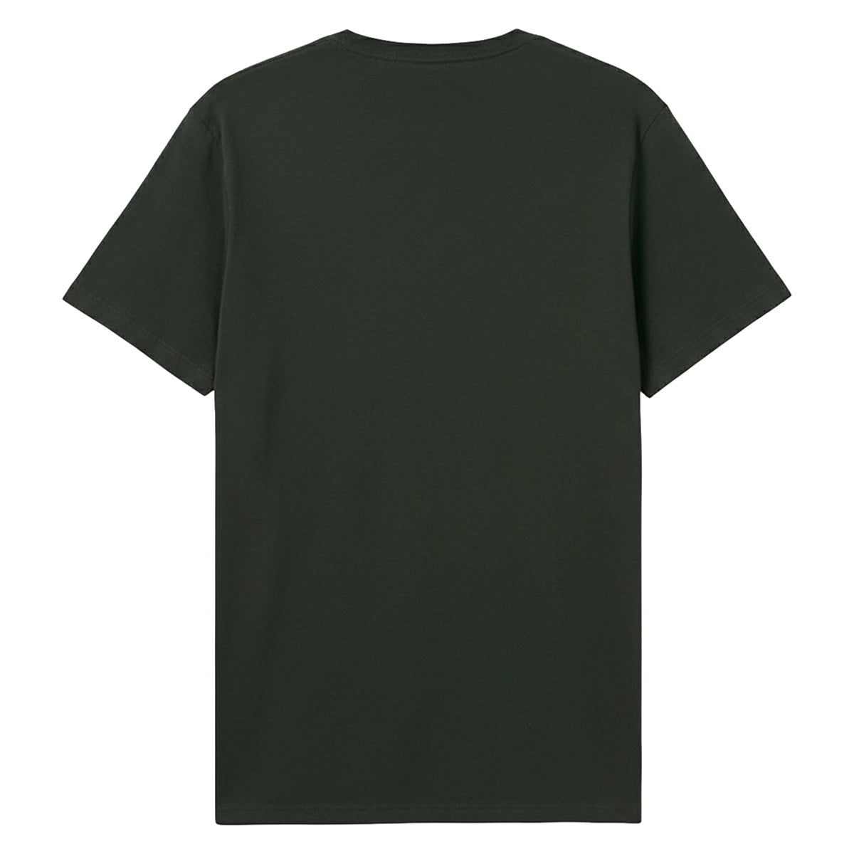 Charcoal - Back - Amplified Unisex Adult Ocean Colour Scene Logo T-Shirt