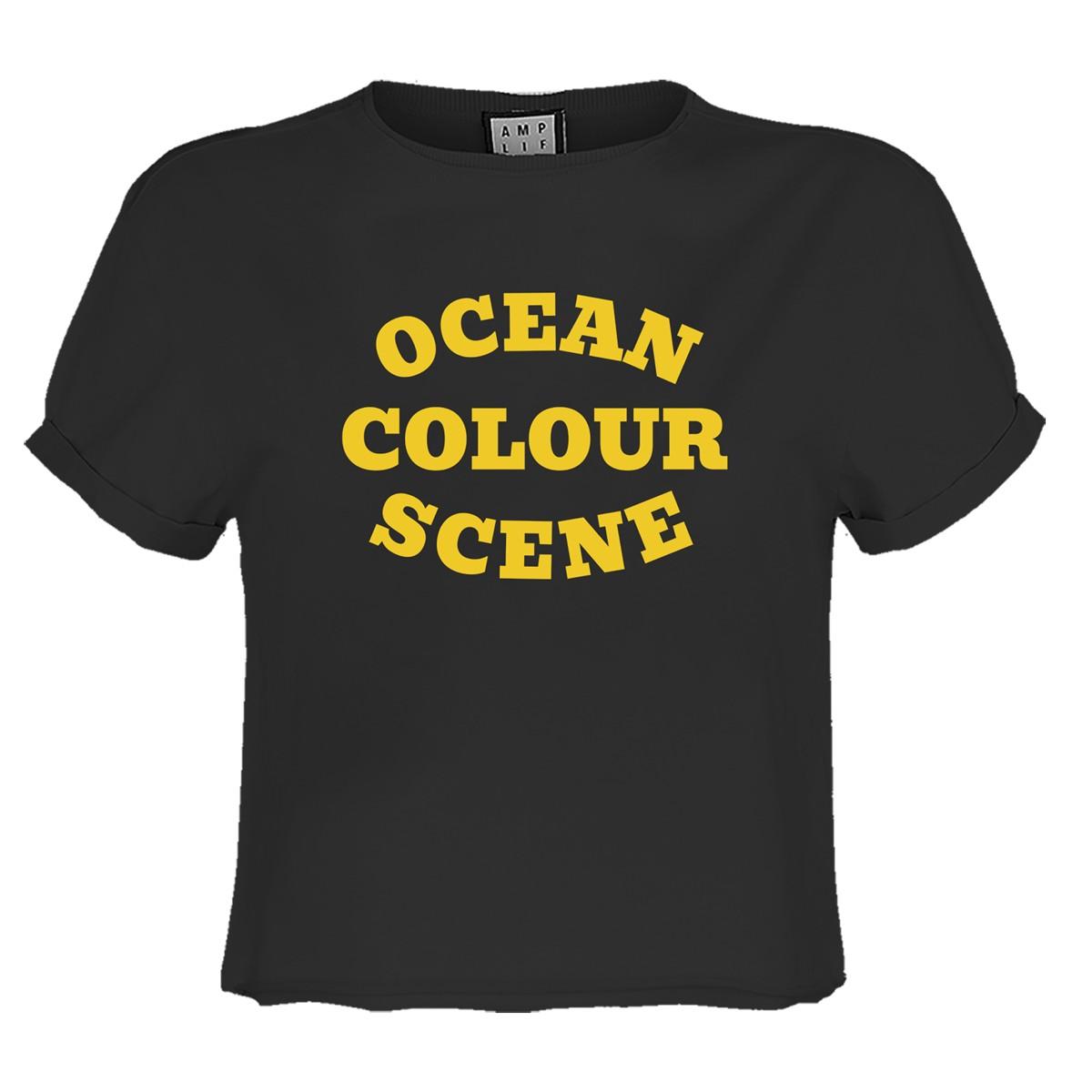 Charcoal - Front - Amplified Womens-Ladies Ocean Colour Scene Logo Crop Top