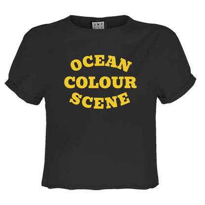Charcoal - Front - Amplified Womens-Ladies Ocean Colour Scene Logo Crop Top