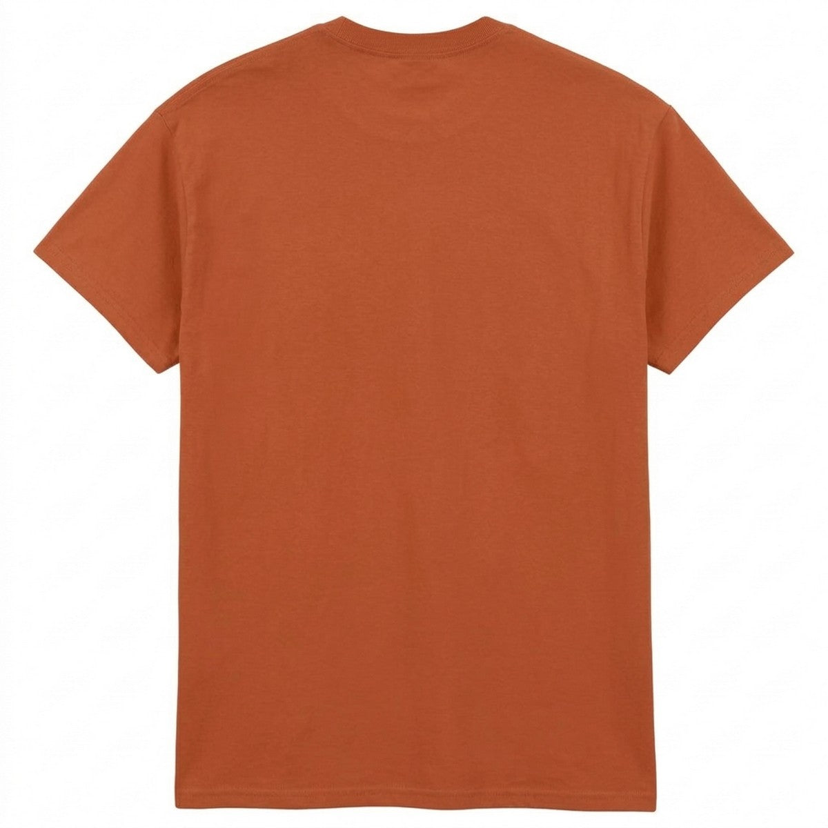 Texas Orange - Back - Amplified Unisex Adult Earl´s Court 75 Led Zeppelin T-Shirt