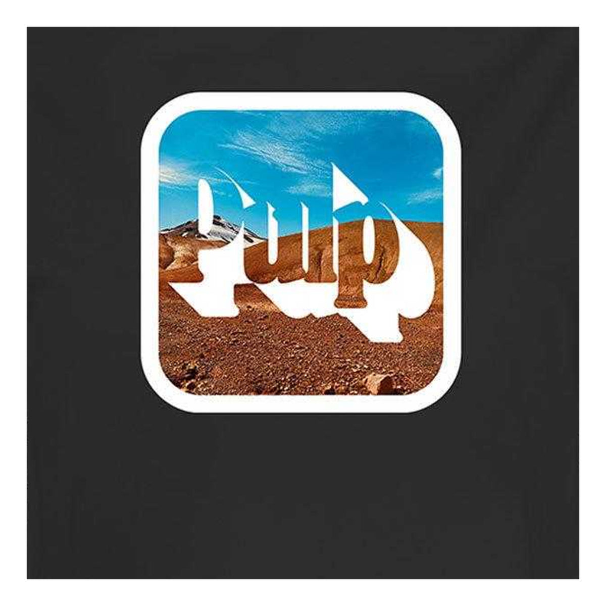 Charcoal - Side - Amplified Womens-Ladies Pulp Cotton Crop Top