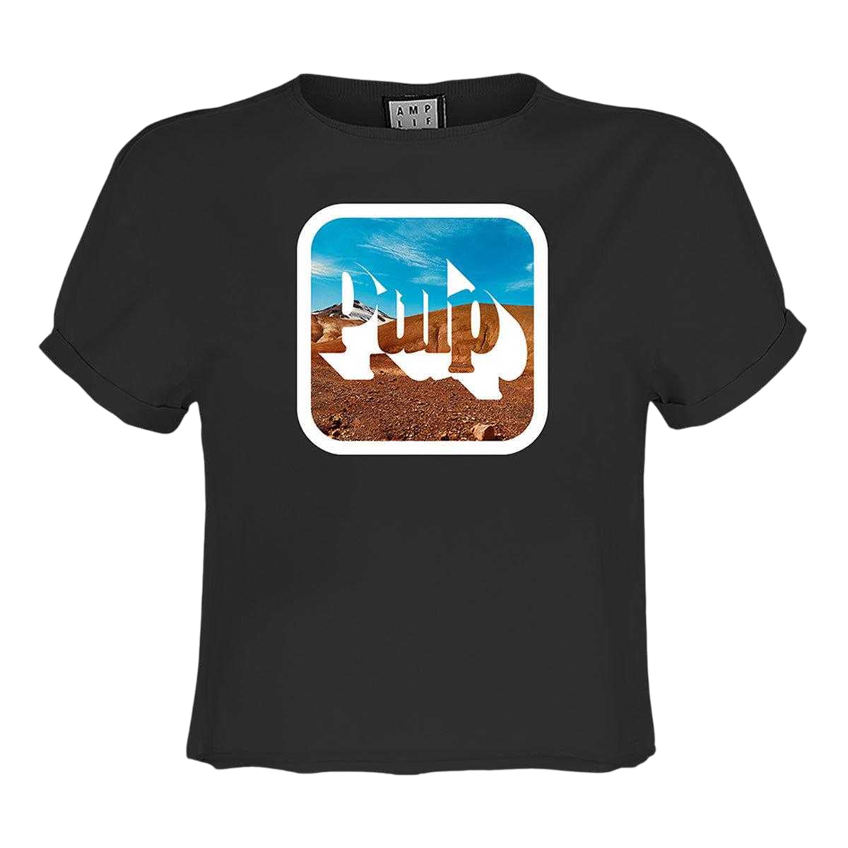 Charcoal - Front - Amplified Womens-Ladies Pulp Cotton Crop Top