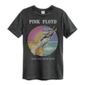 Charcoal - Front - Amplified Unisex Adult Wish You Were Here Pink Floyd T-Shirt