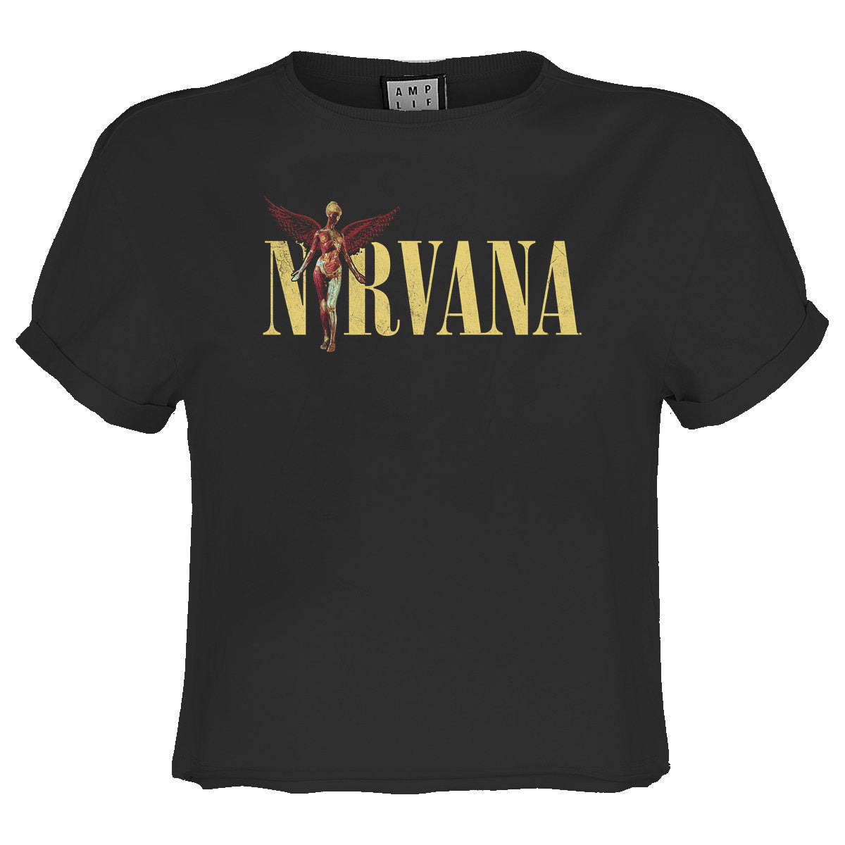 Charcoal - Front - Amplified Womens-Ladies In Utero Nirvana Crop Top