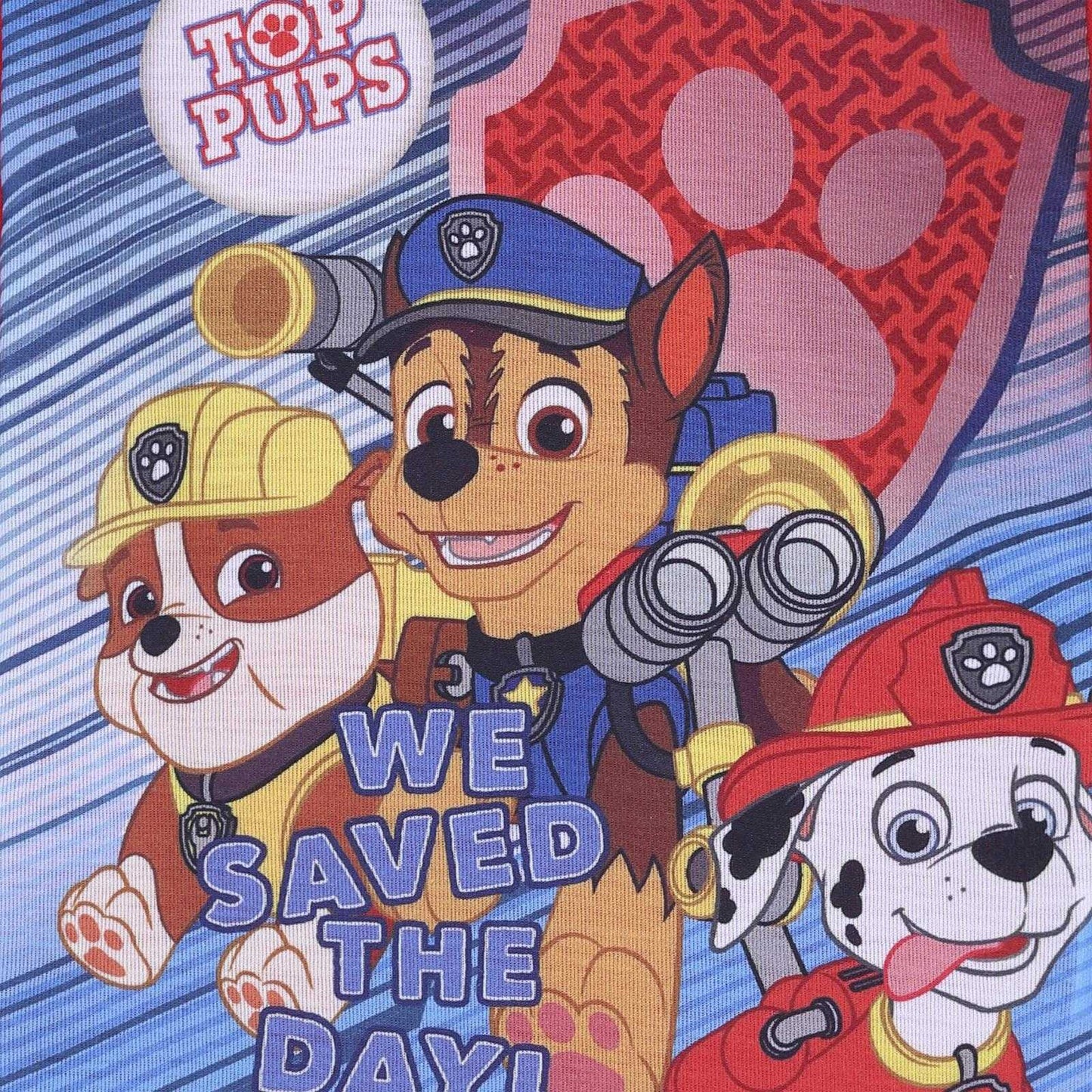Grey - Lifestyle - Paw Patrol Boys We Saved The Day Pyjama Set