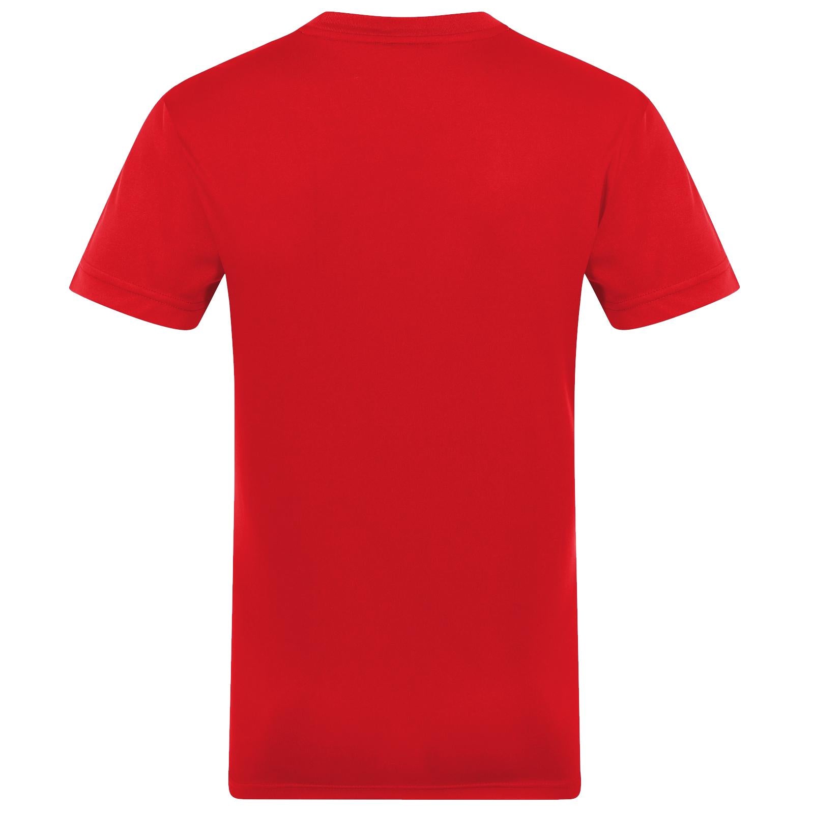 Red-White - Back - Arsenal FC Mens Striped Polyester T-Shirt
