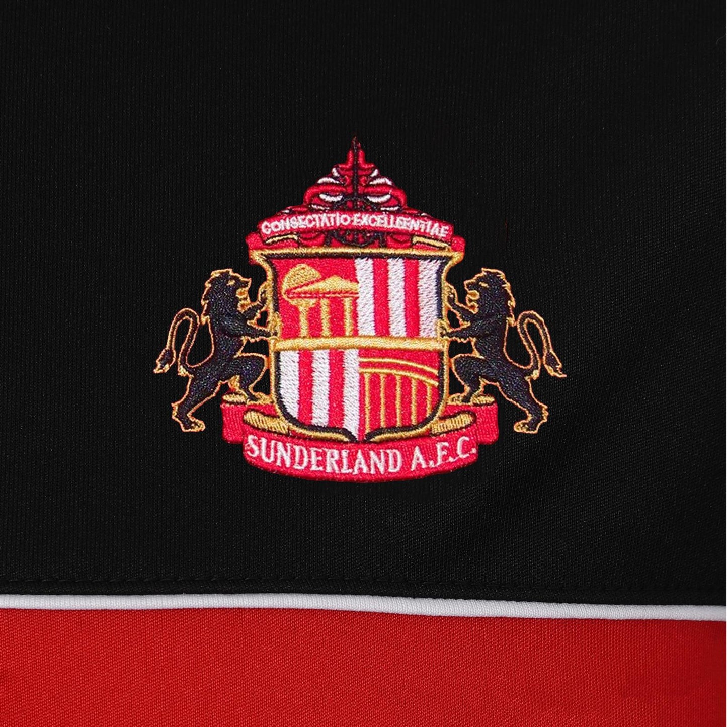 Black - Back - Sunderland AFC Mens Football Polyester T-Shirt