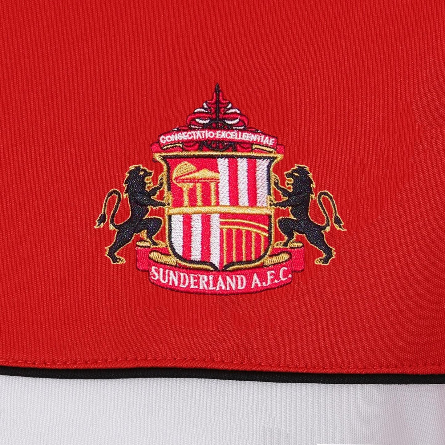 Red - Back - Sunderland AFC Mens Football Polyester T-Shirt