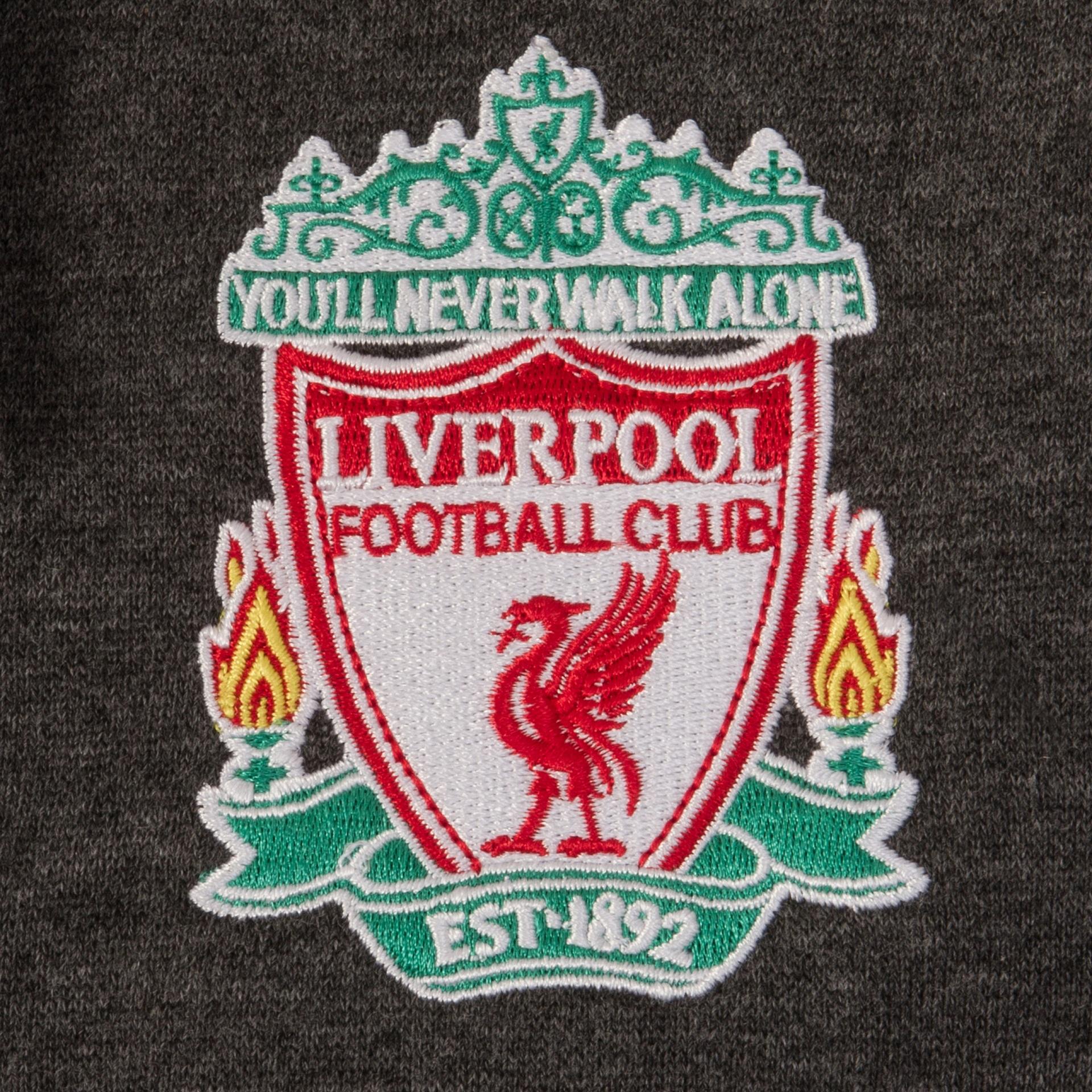 Grey - Back - Liverpool FC Boys Fleece Full Zip Hoodie