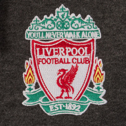 Grey - Back - Liverpool FC Boys Fleece Full Zip Hoodie